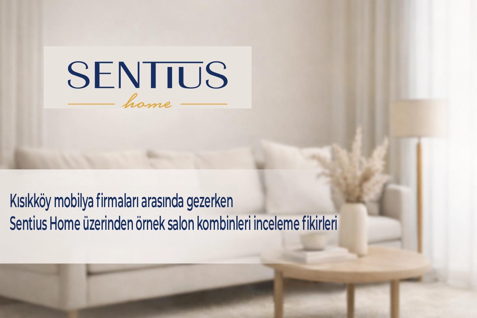 kisikkoy-mobilya-firmalari-arasinda-gezerken-sentius-home-uzerinden-ornek-salon-kombinleri-inceleme-fikirleri