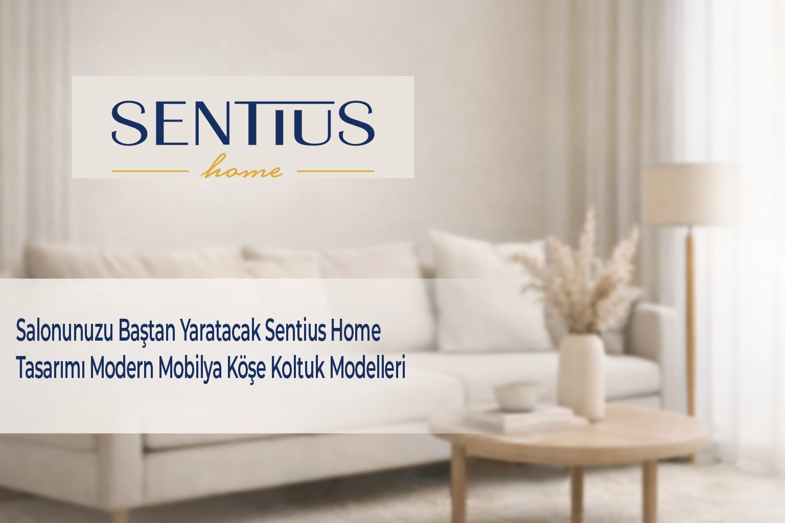 salonunuzu-bastan-yaratacak-sentius-home-tasarimi-modern-mobilya-kose-koltuk-modelleri